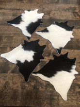 Load image into Gallery viewer, Cowhide Coasters
